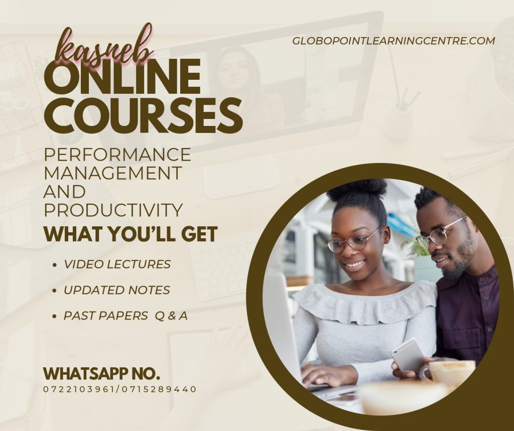 Performance Management and Productivity