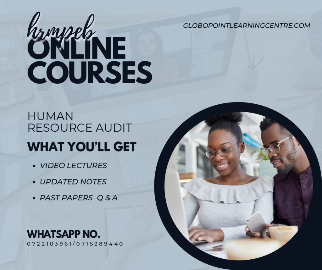 Human Resource Audit