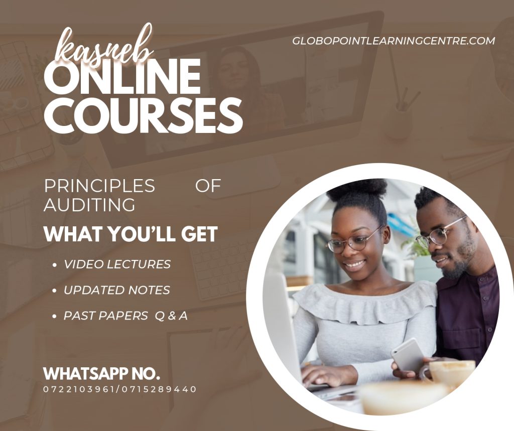 Principles of Auditing