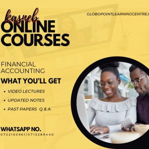 \Financial Accounting