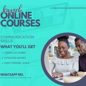 Communication Skills