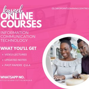 Information Communication Technology