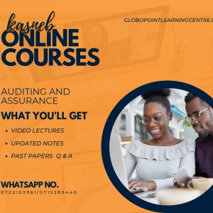 Auditing and Assurance