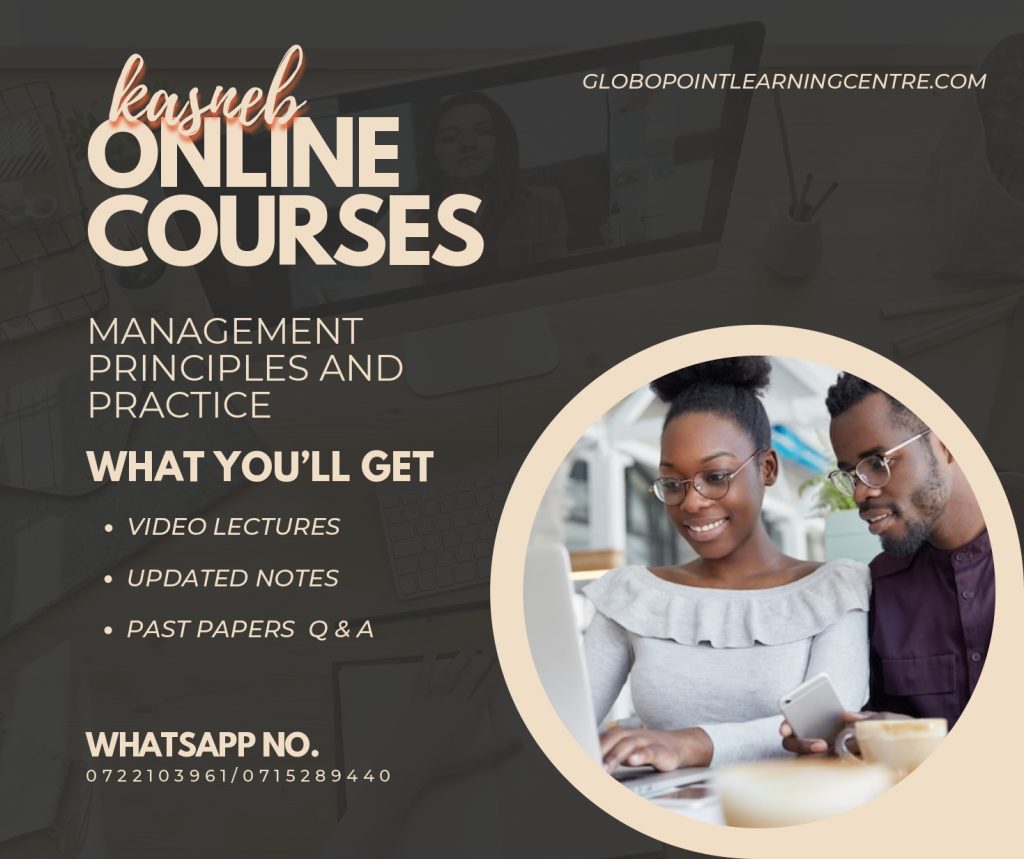 Management Principles and Practice